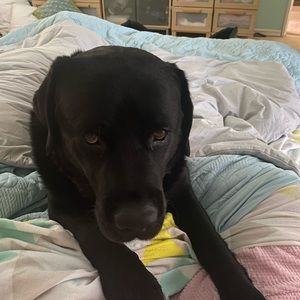 Meet your Posher, Bronwyn